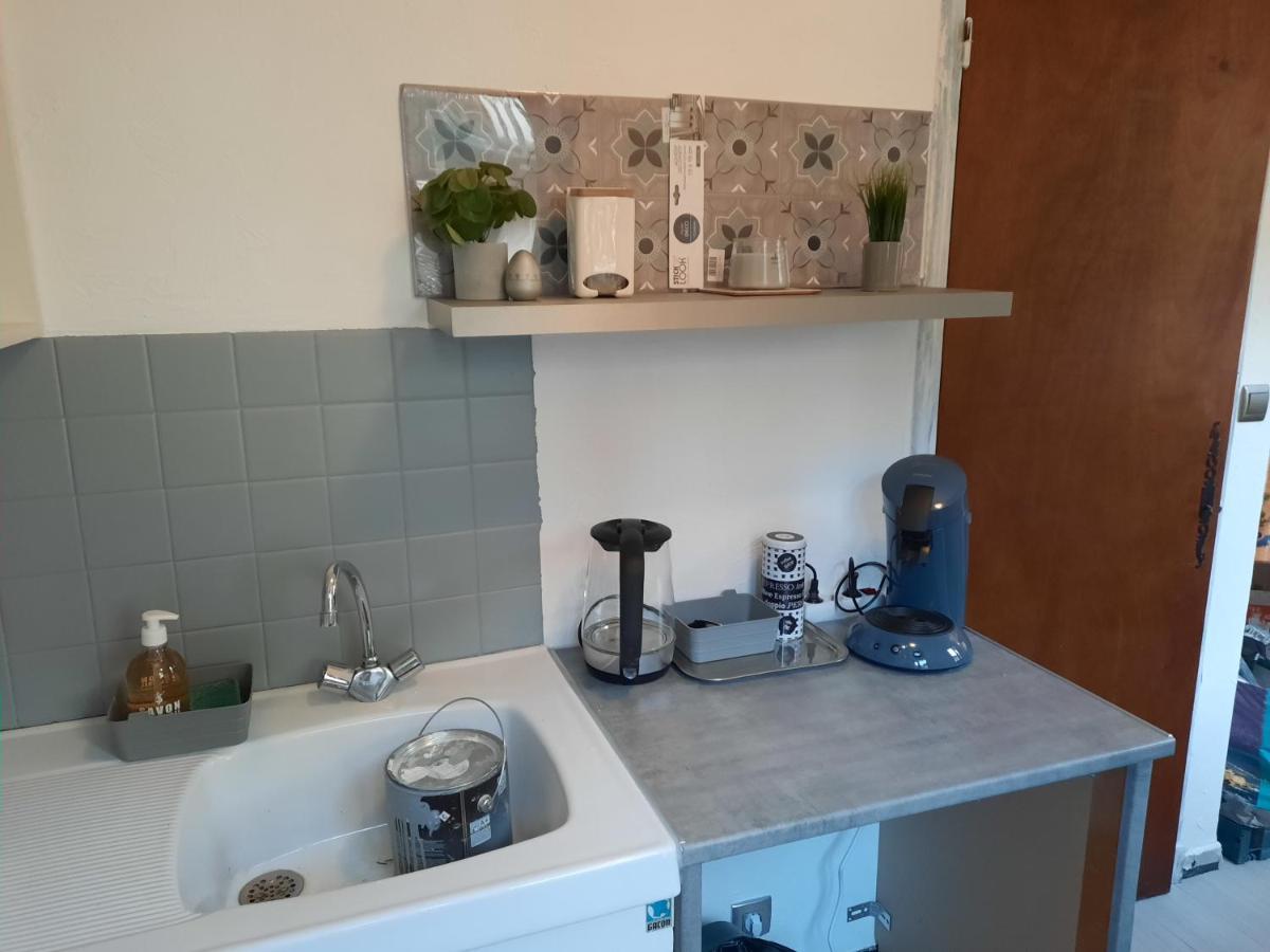 Studio Renove Au Coeur Du Village Saint-Martin-Vésubie 外观 照片